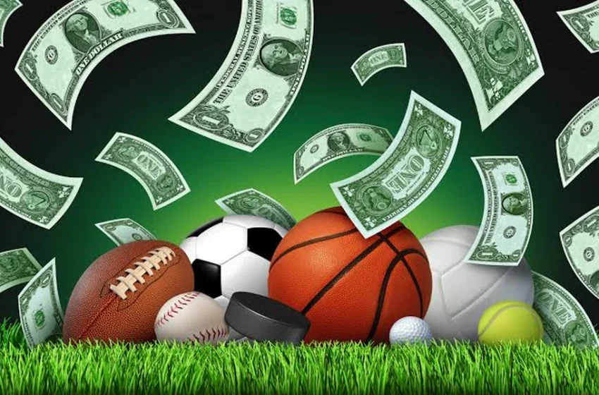  Which Details Help Identify a Well Established Betting Platform